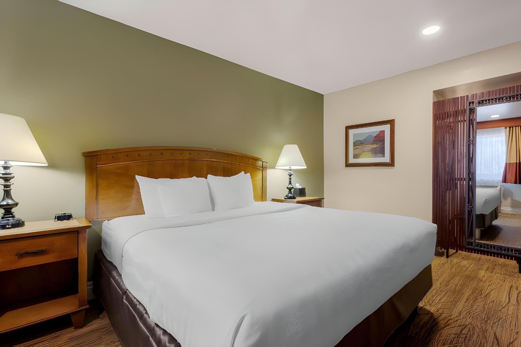 Accessibility - 1 King Bed, Roll-in Shower, Nonsmoking