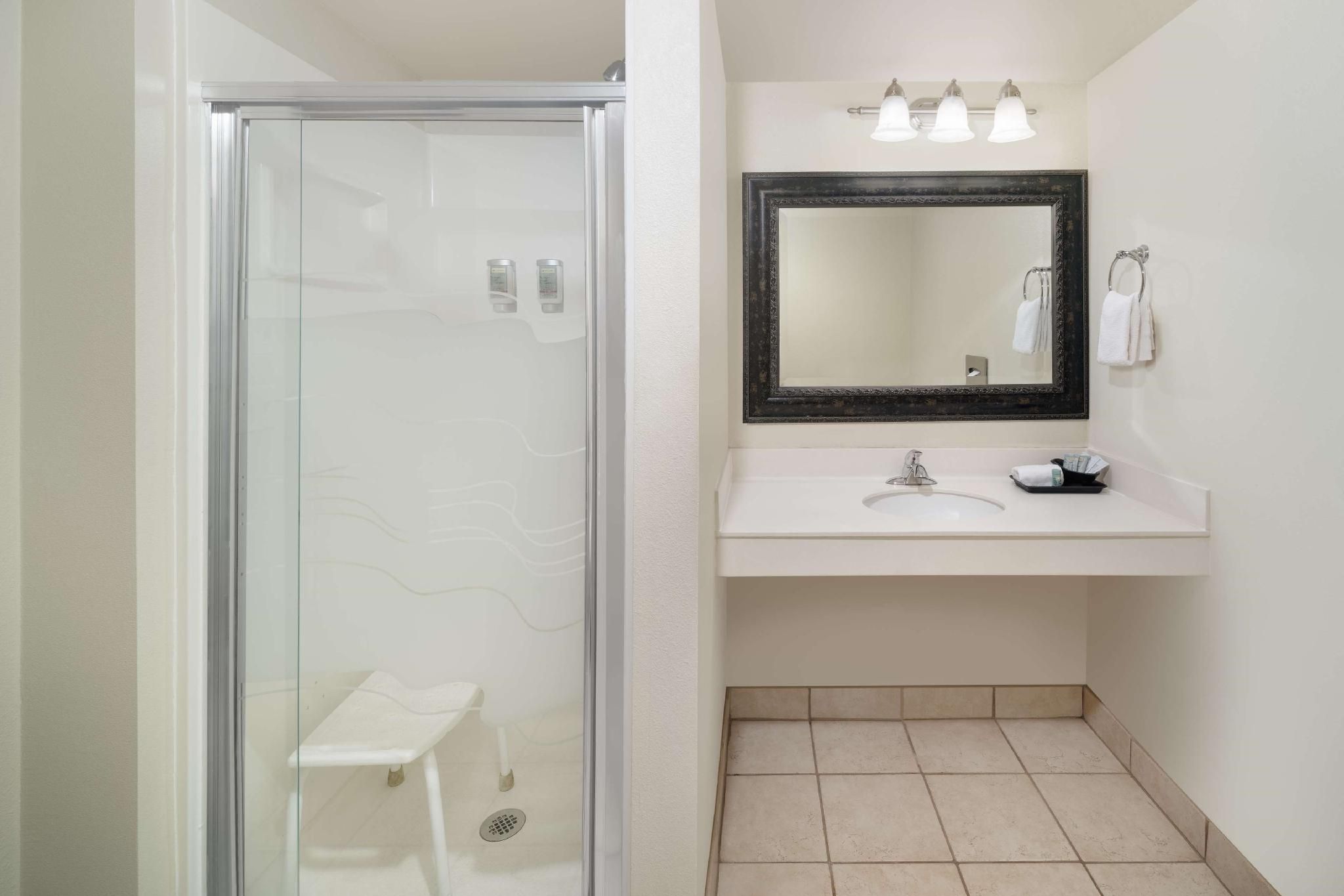 Accessibility - 1 King Bed, Walk-in Shower, Nonsmoking