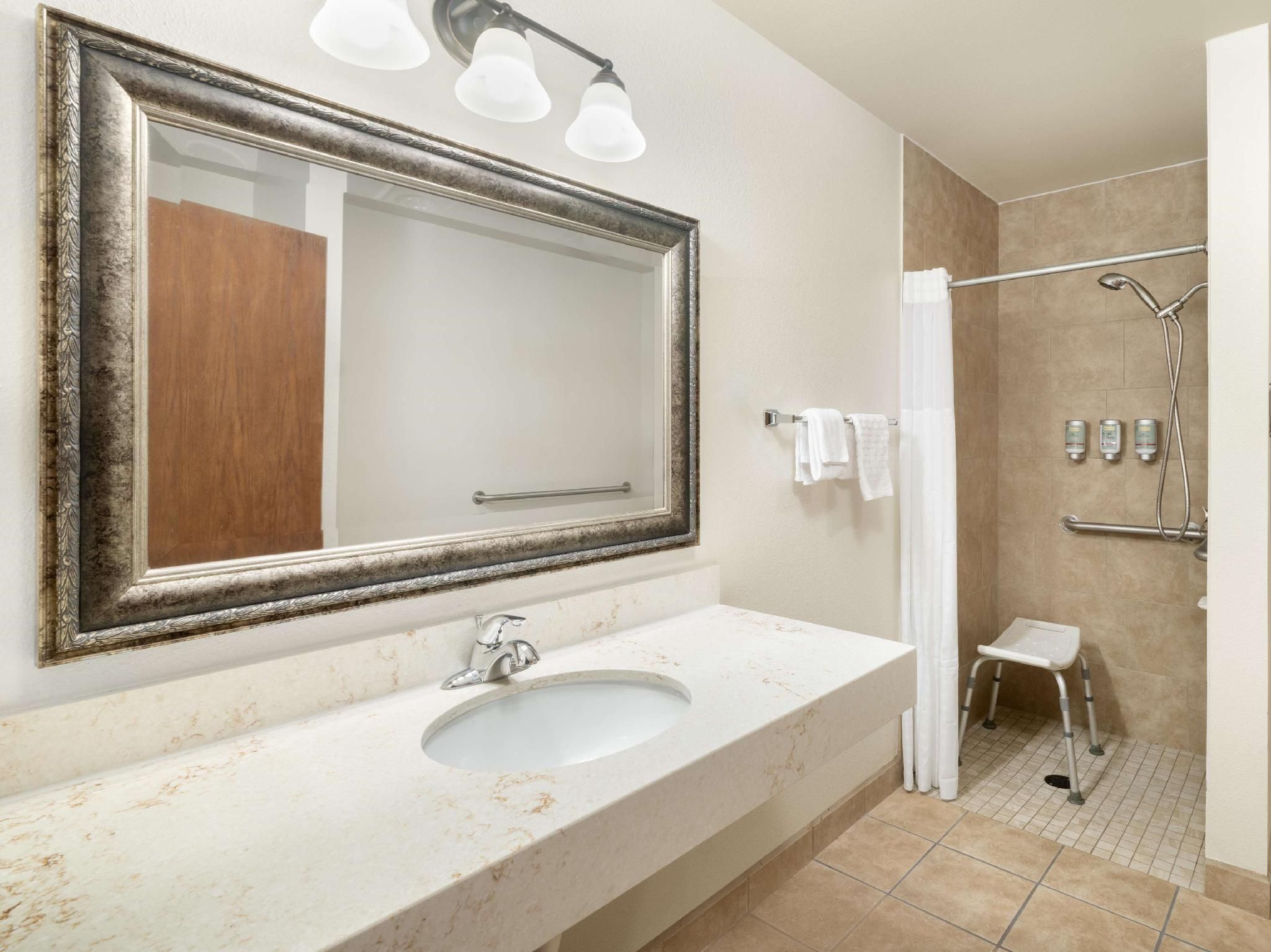 Accessibility - 1 King Bed, Roll-in Shower, Nonsmoking