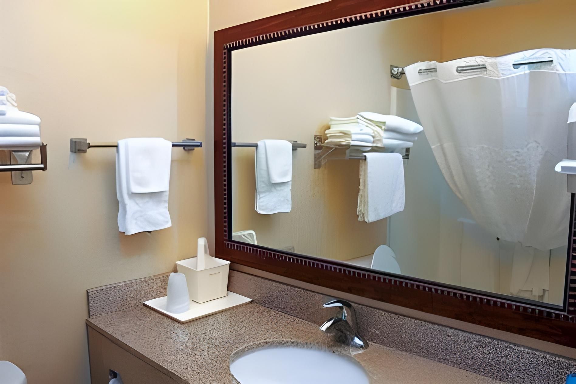 1 King Bed | Non-Smoking, Micfridge