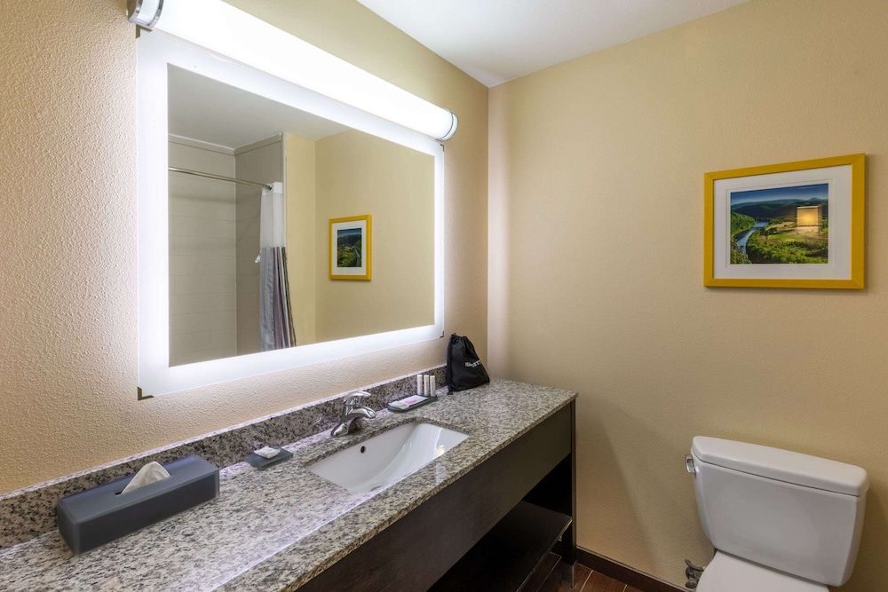 Suite, 1 Bedroom, Non Smoking (1 Kingbed)