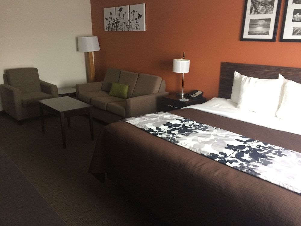 Suite, 1 King Bed with Sofa bed, Accessible, Non Smoking