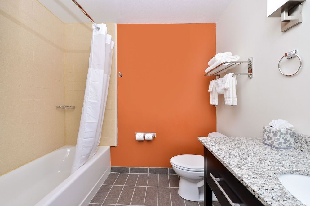 Room, 1 King Bed, Accessible, Non Smoking
