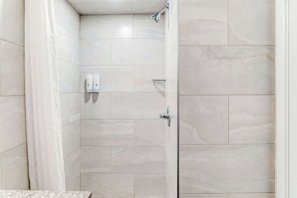 Quality Inn Detroit Downtown Standard Room, 1 Double Bed, Non Smoking 4