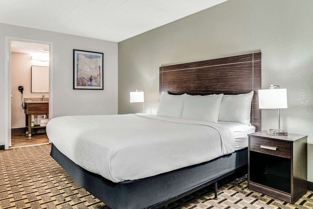 Room, 1 King Bed, Non Smoking