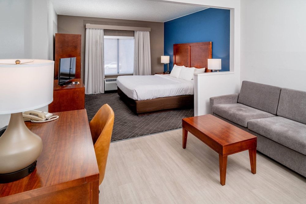 Suite, 1 King Bed with Sofa bed, Non Smoking
