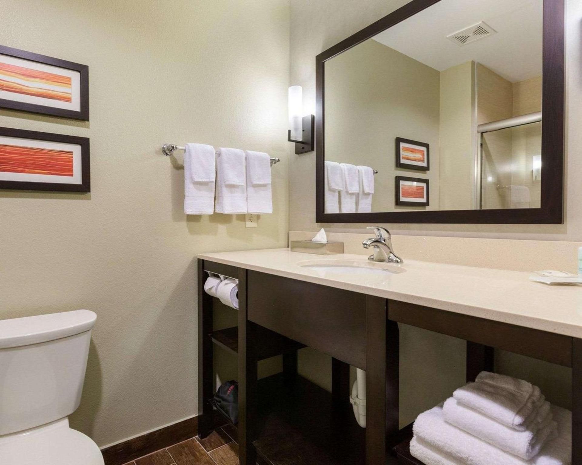 undefined Comfort Suites near Westchase on Beltway 8 9