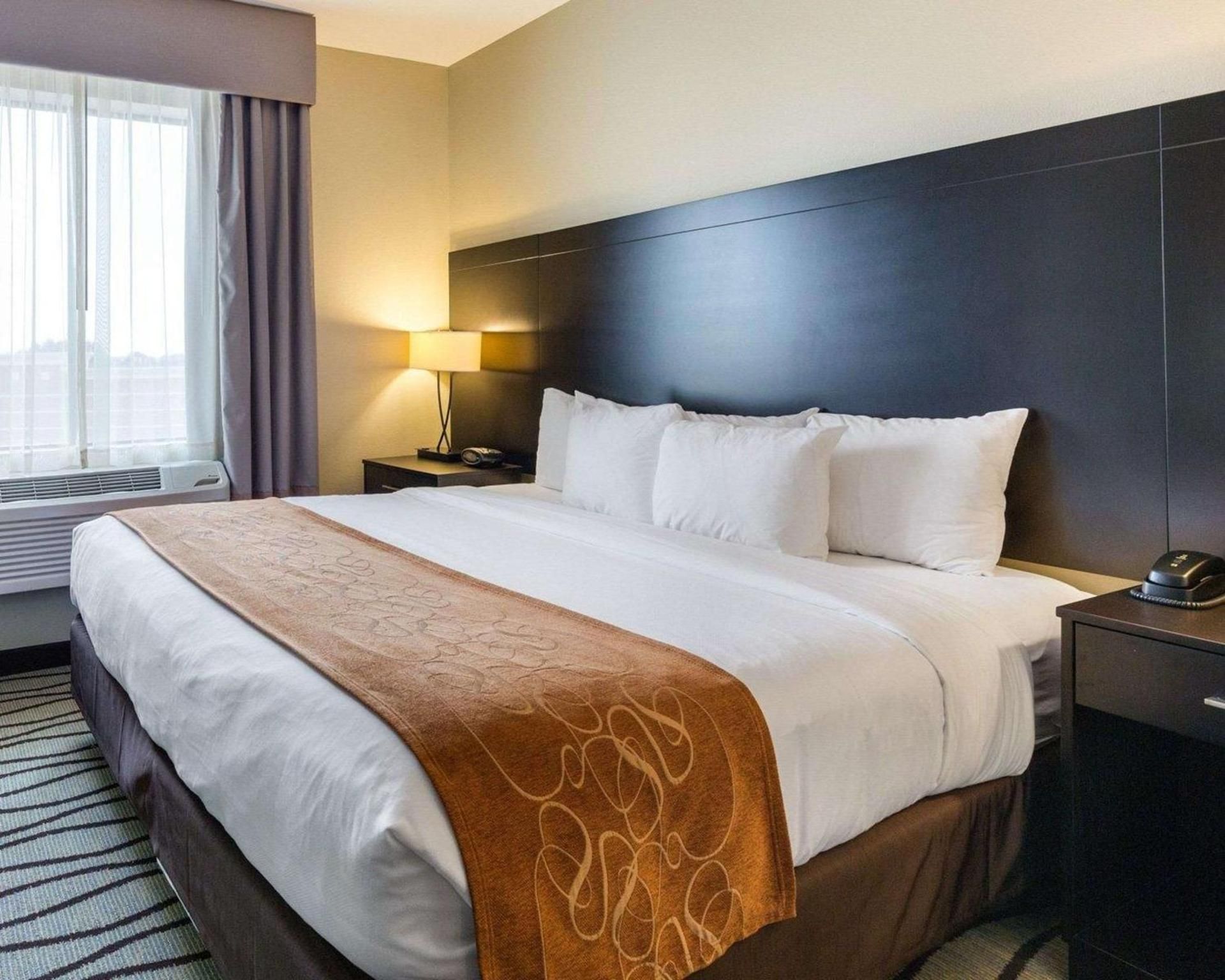 undefined Comfort Suites near Westchase on Beltway 8 8