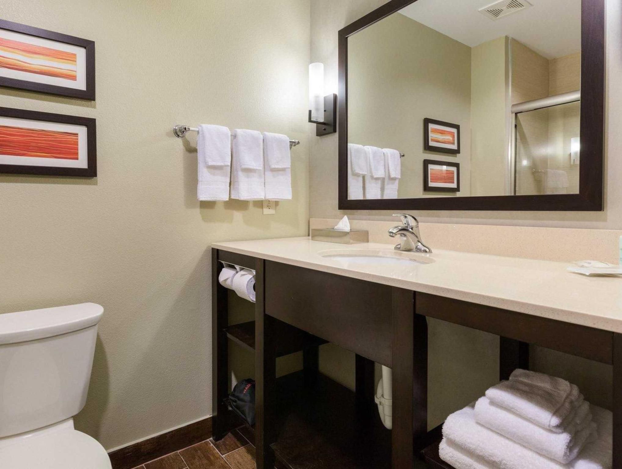 undefined Comfort Suites near Westchase on Beltway 8 7