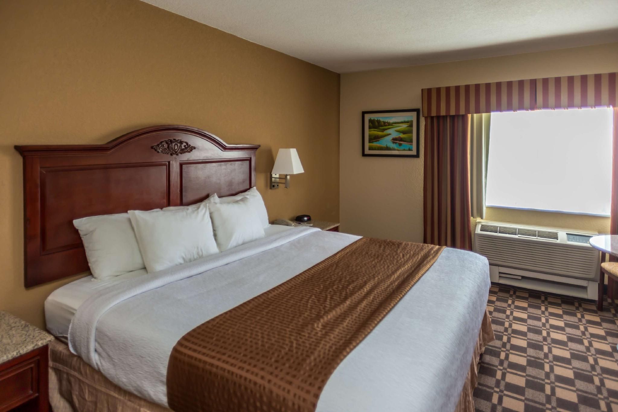 1 King Bed, Nonsmoking, Pet Friendly Room, Mountainside