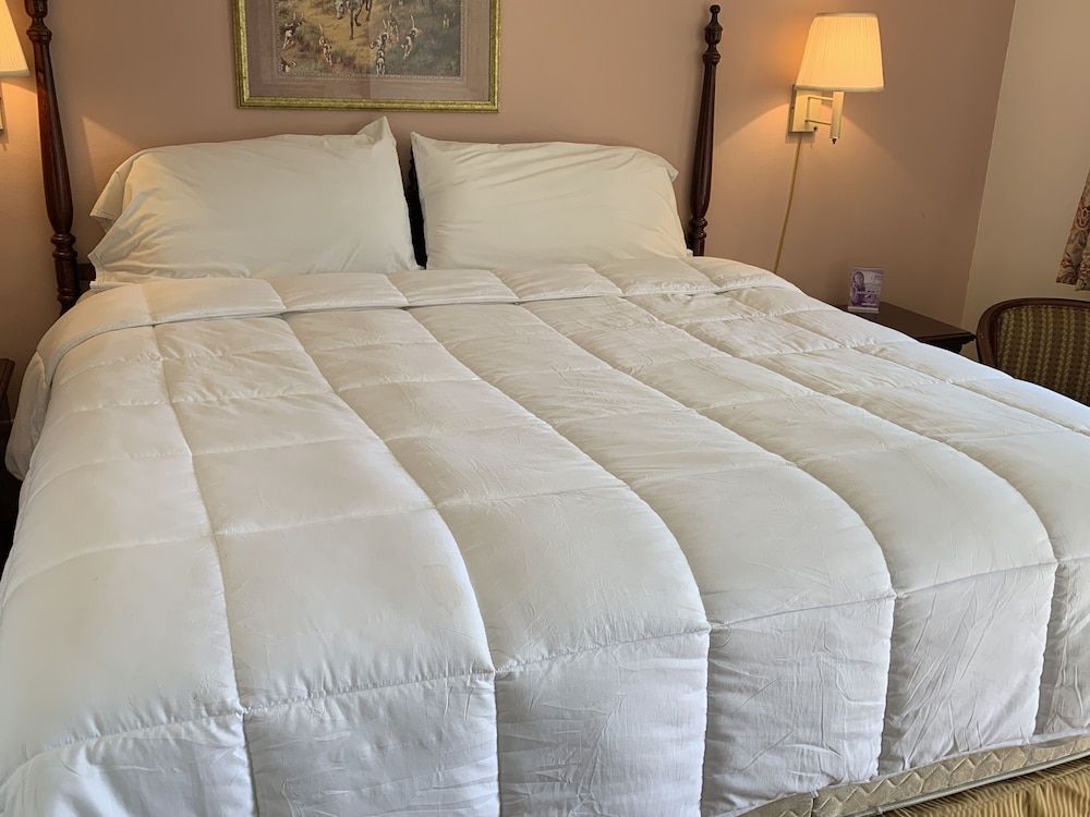 Red Carpet Inn Standard Room, 1 King Bed