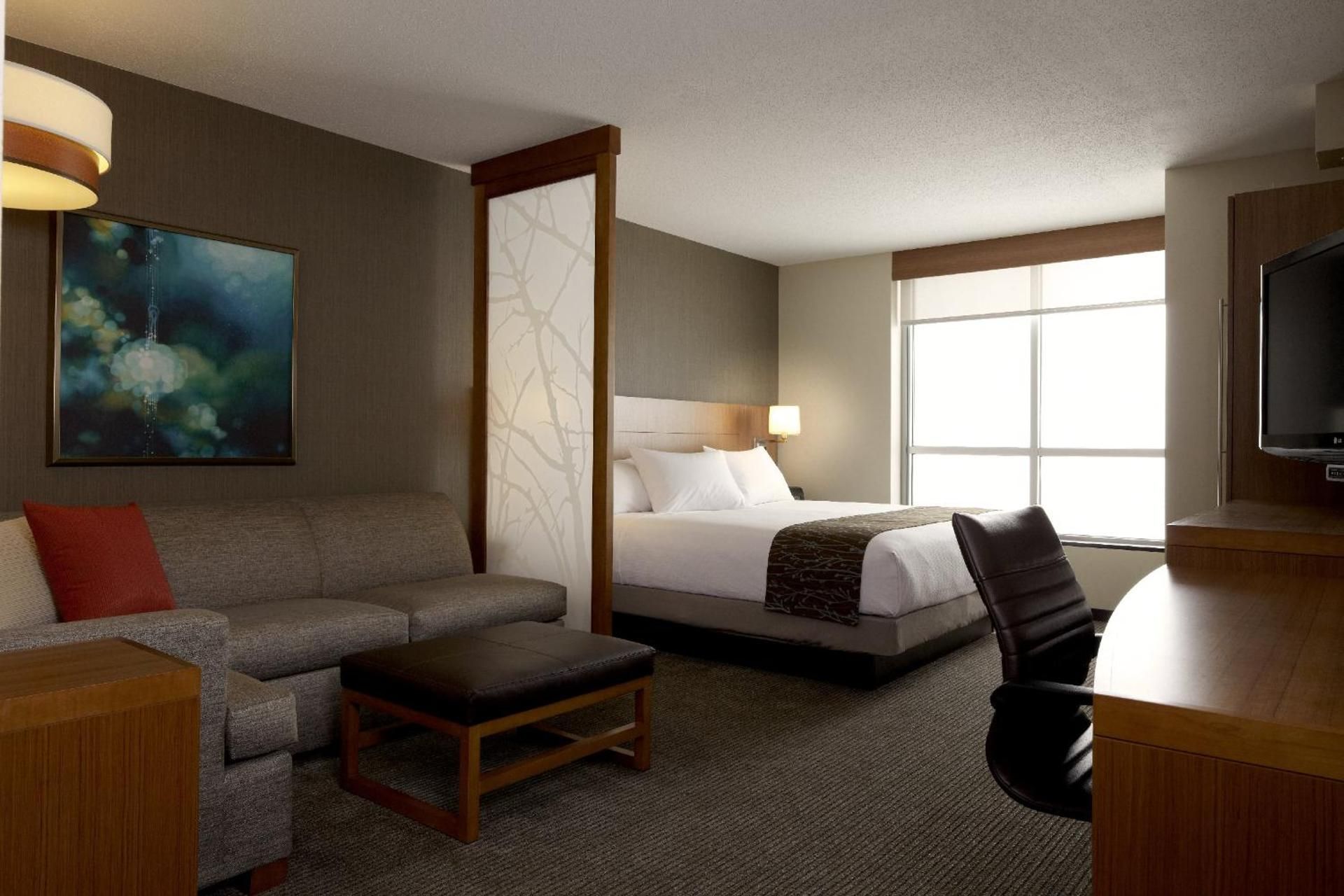 Accessible King Bedrollin Shower (with Sofa Bed)