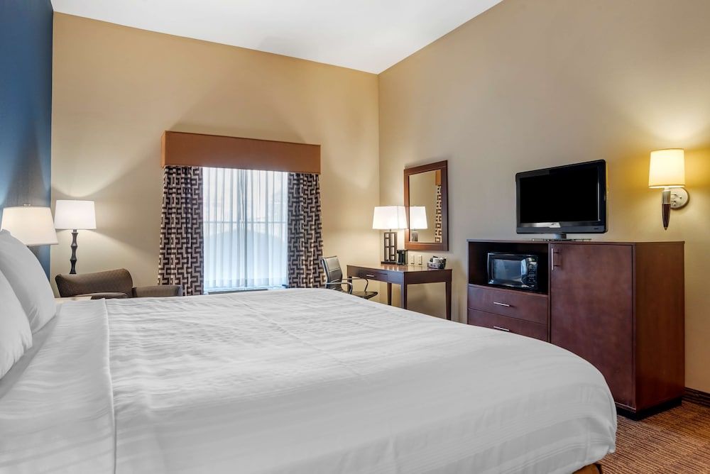 Standard Room, 1 King Bed, Accessible, Non Smoking