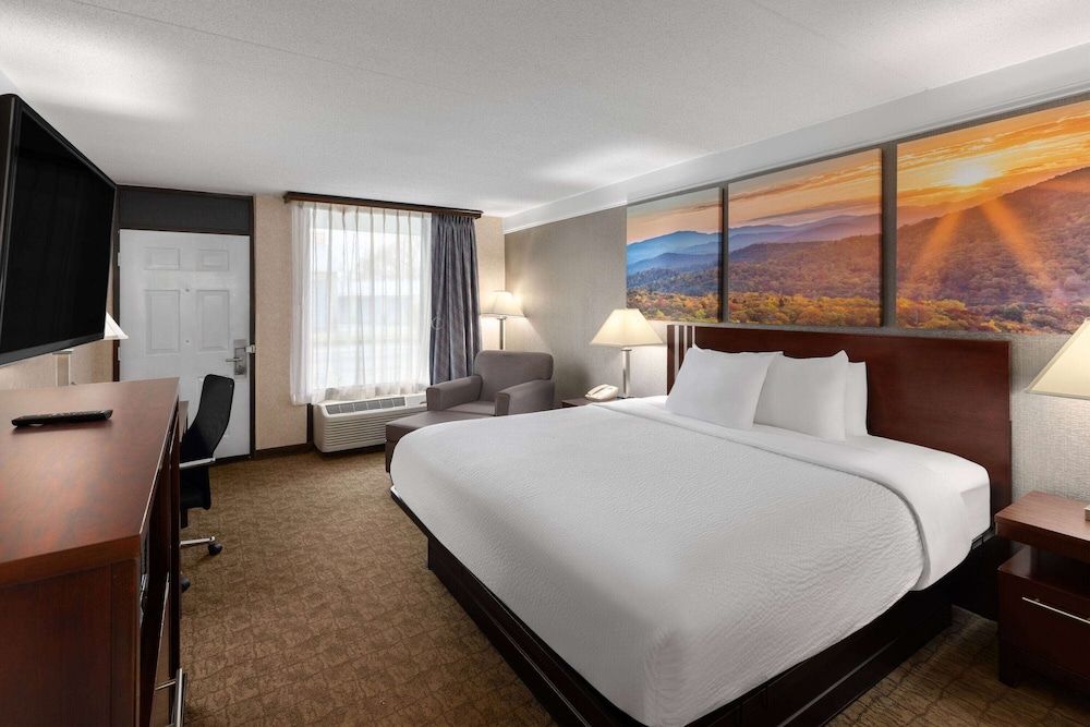 Room, 1 King Bed, Smoking
