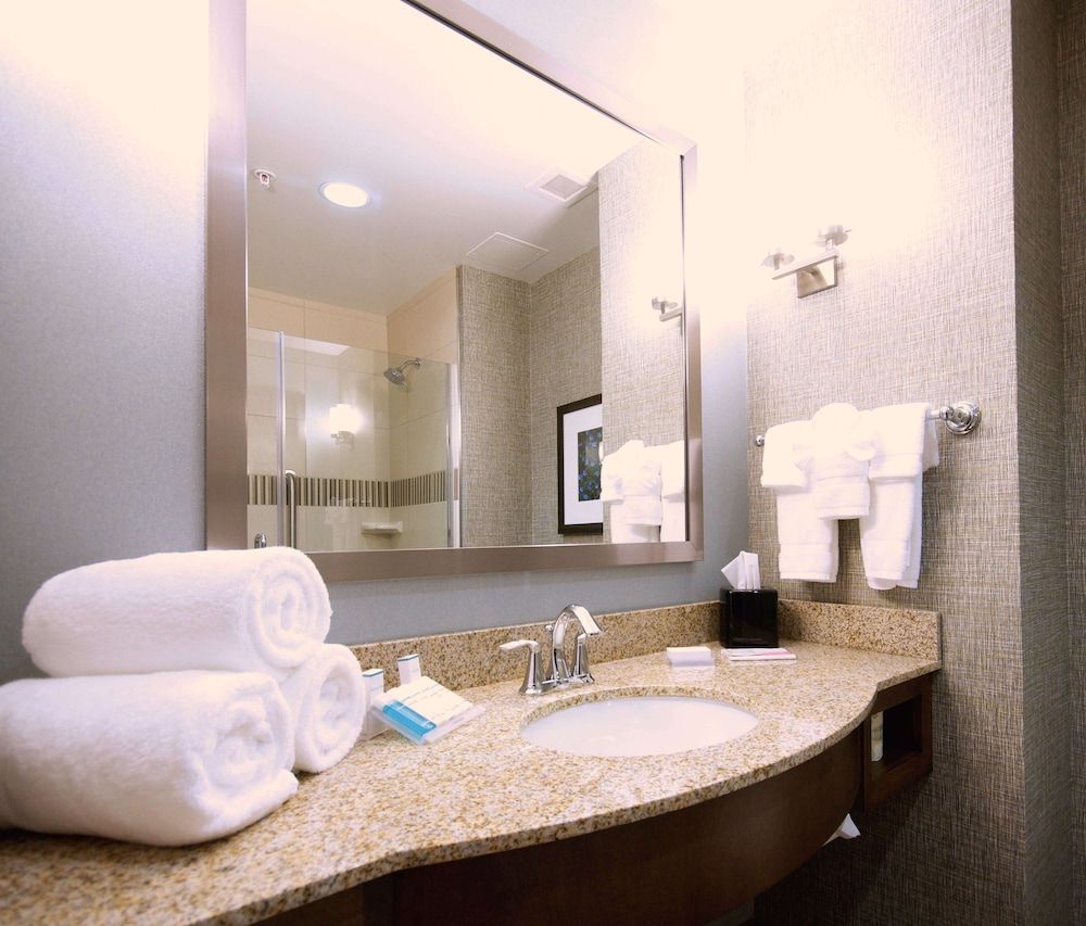 Room, 1 King Bed, Accessible (Roll In Shower)