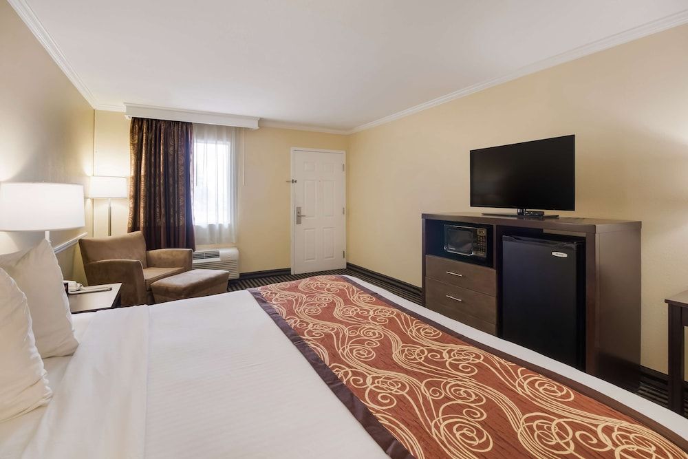 Best Western McKenzie Standard Room, 1 King Bed, Non Smoking, Refrigerator & Microwave