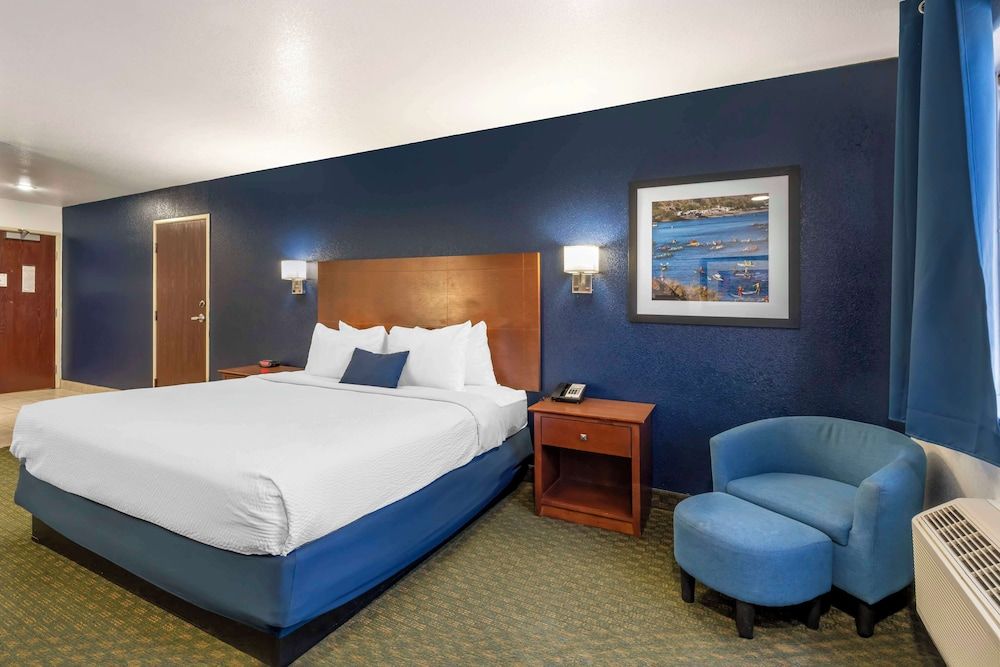 Standard Room, 1 King Bed, Non Smoking, Refrigerator & Microwave