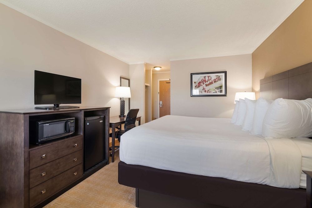 Standard Room, 1 King Bed, Accessible, Non Smoking (Walk-in Shower)