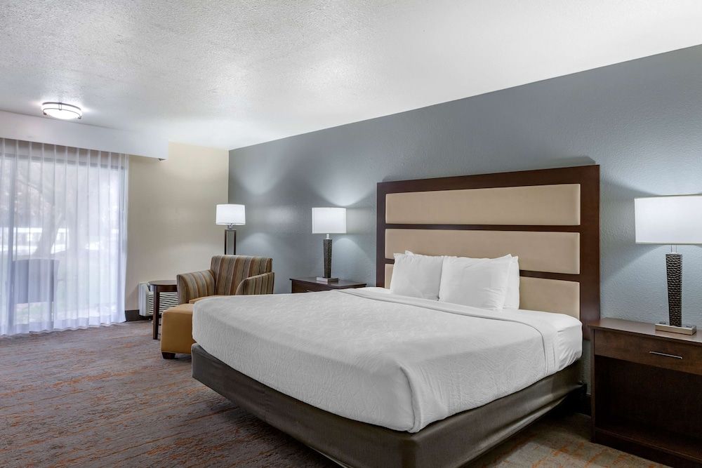 Standard Room, 1 King Bed, Refrigerator & Microwave (Pet Friendly, Roll In Shower)