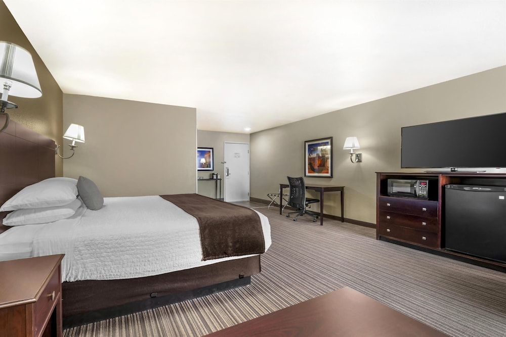 Standard Room, 1 King Bed with Sofa bed, Non Smoking, Refrigerator (with Sofabed)