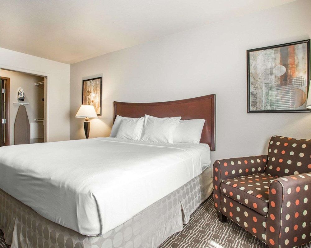 Suite, 1 King Bed with Sofa bed, Accessible, Non Smoking (Efficiency, Upgrade)