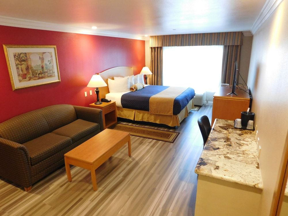 Standard Room, 1 King Bed, Non Smoking, Refrigerator & Microwave (with Sofabed)