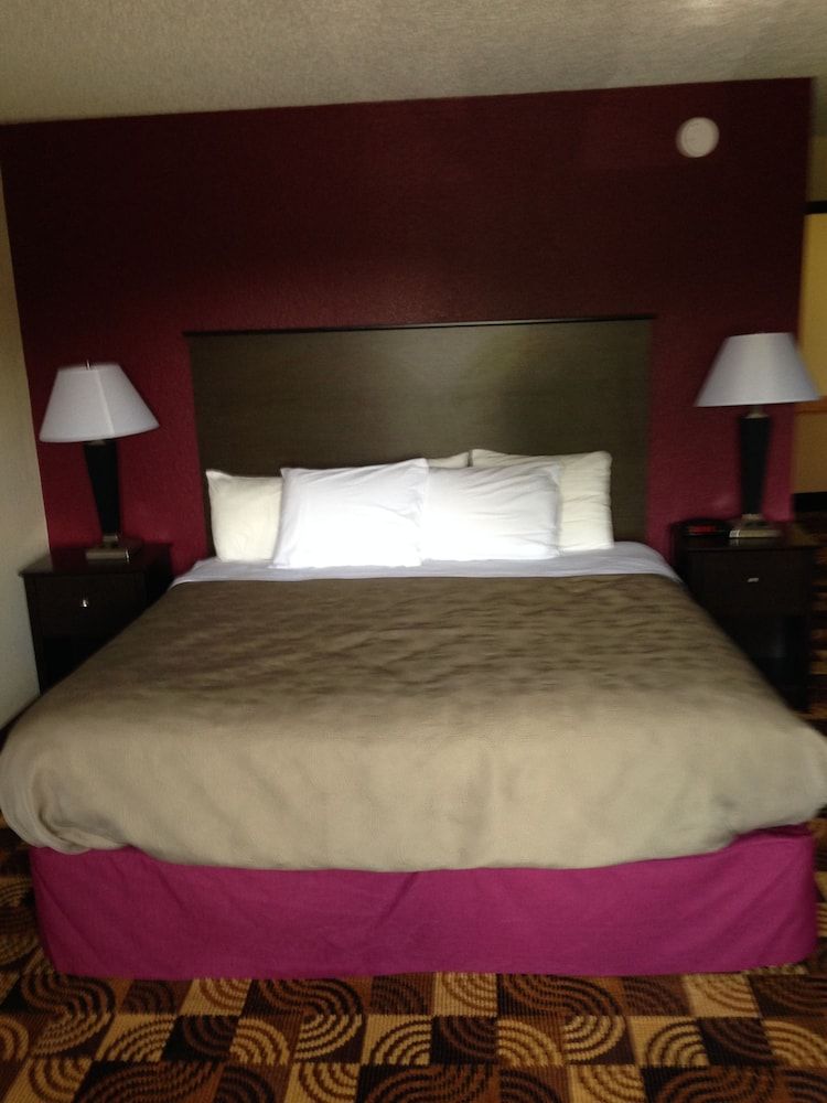 Room, 1 King Bed, Non Smoking