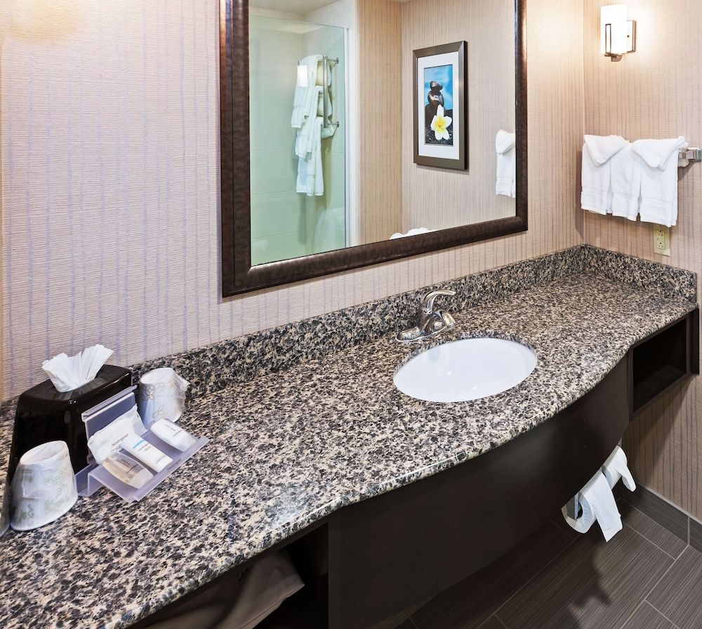Suite, 1 King Bed with Sofa bed