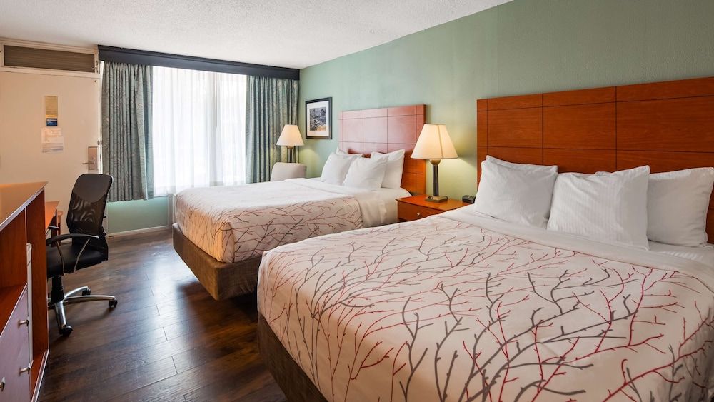 Best Western Fredericksburg Standard Room, 2 Queen Beds, Non Smoking, Refrigerator & Microwave (Pet Friendly)