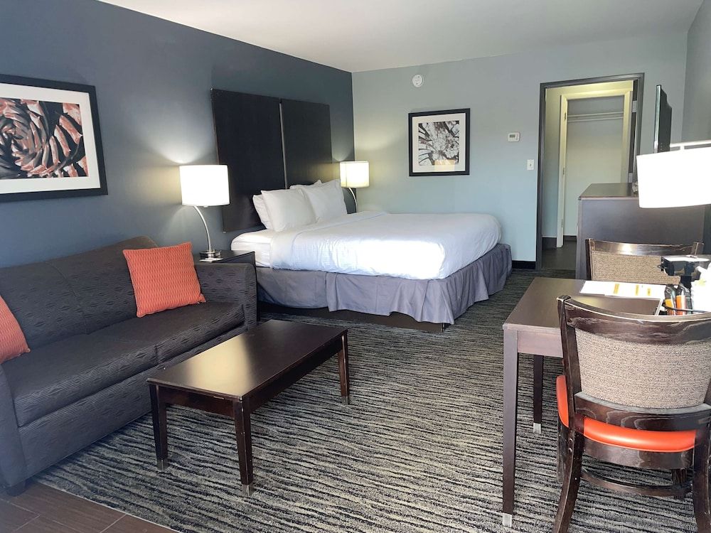 Standard Room, 1 King Bed, Non Smoking (with Sofabed)