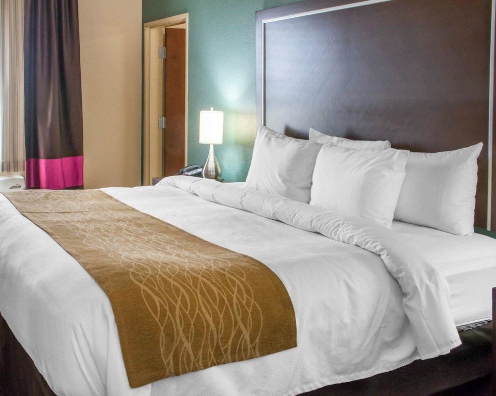 Room, 1 King Bed, Non Smoking