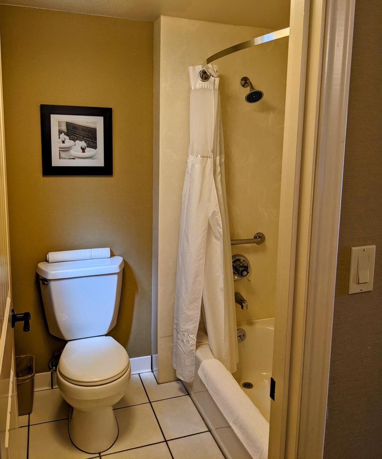 1 King Bed, NonSmoking, Pet Friendly Room