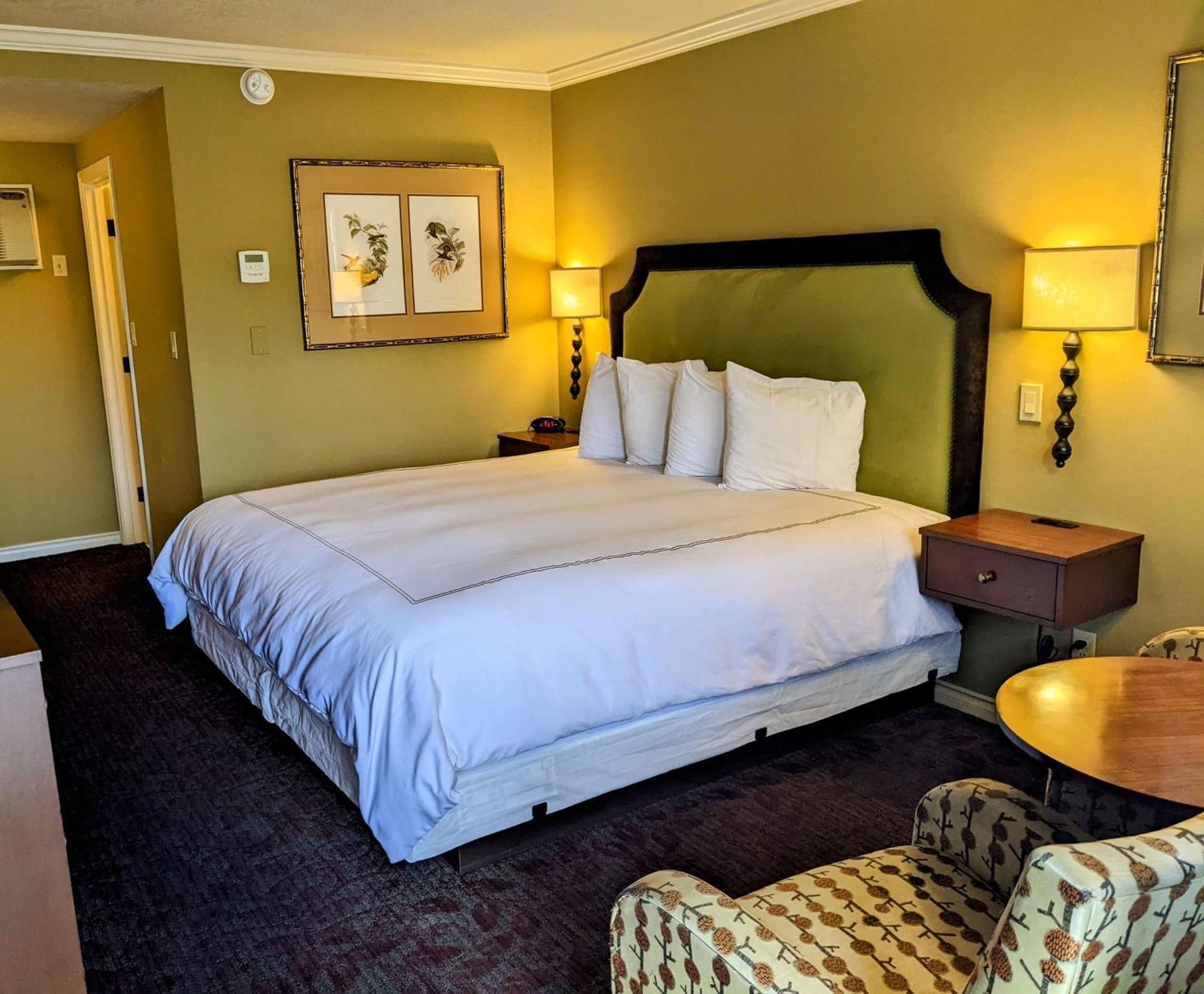 1 King Bed, NonSmoking, Pet Friendly Room