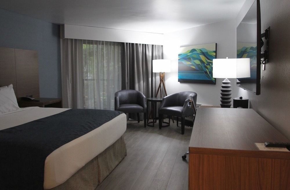 Hayward Inn Hilyard Creekside Room, 1 King Bed