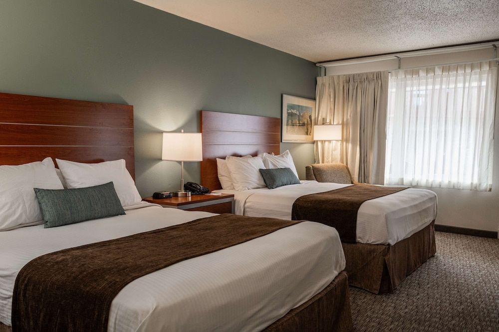 Standard Room, 2 Queen Beds, Microwave