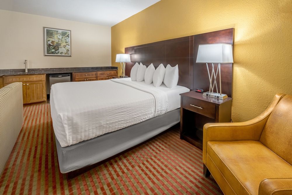 Suite, 1 King Bed
