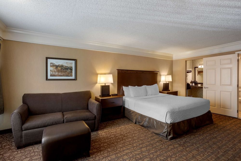Standard Room, 1 King Bed, Accessible, Non Smoking (Walk-in Shower;with Sofabed)
