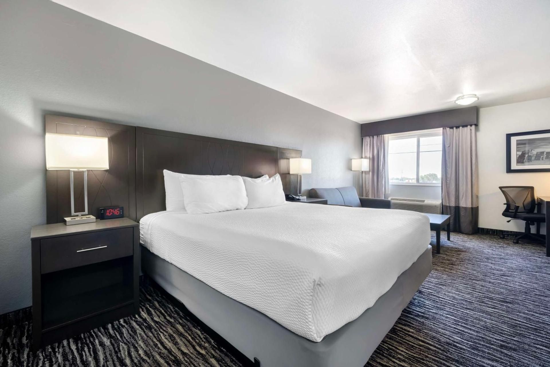 1 King Bed, Non-Smoking, Pet Friendly Room, High Speed Internet Access, Refrigerator, Coffee Maker,