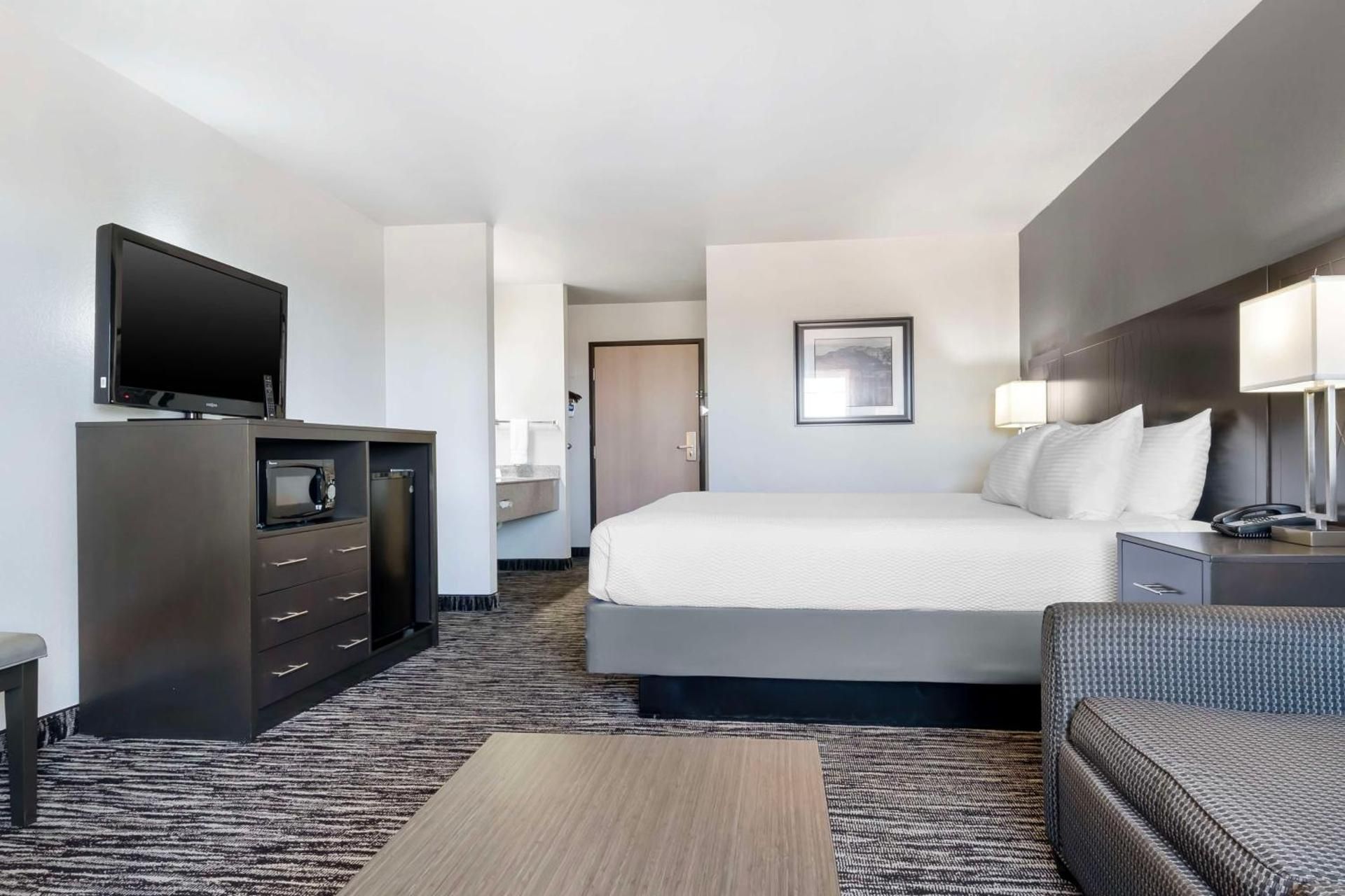 1 King Bed, Non-Smoking, Pet Friendly Room, High Speed Internet Access, Refrigerator, Coffee Maker,