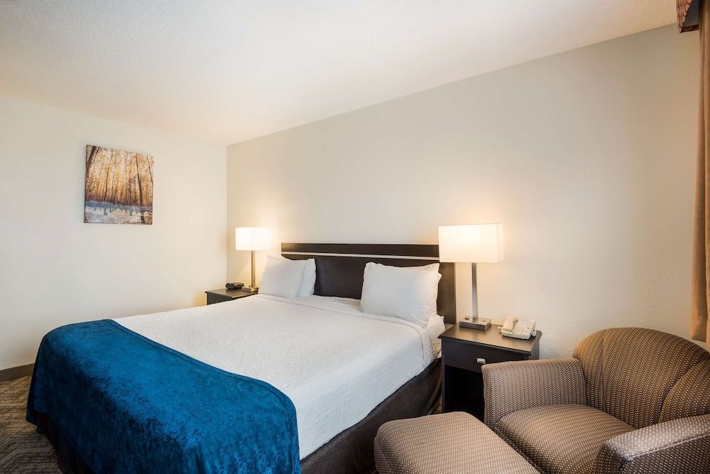Standard Room, 1 King Bed, Non Smoking, Refrigerator & Microwave