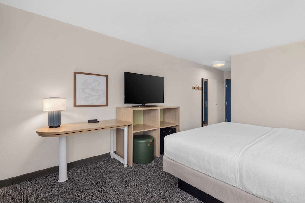 Room, 1 King Bed