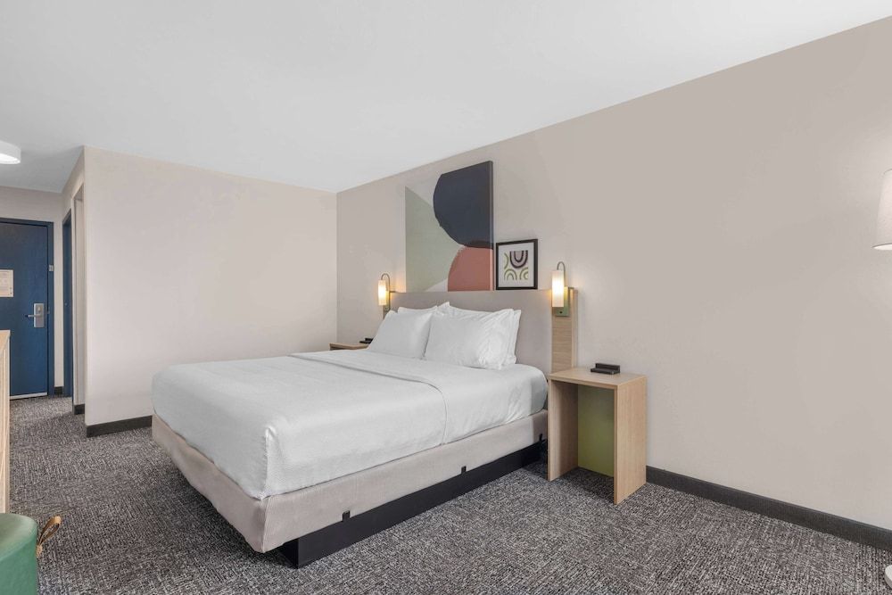 Room, 1 King Bed