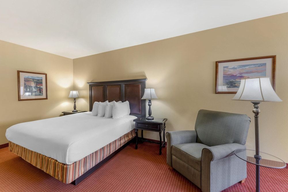 Executive Room, 1 King Bed, Non Smoking, Refrigerator & Microwave