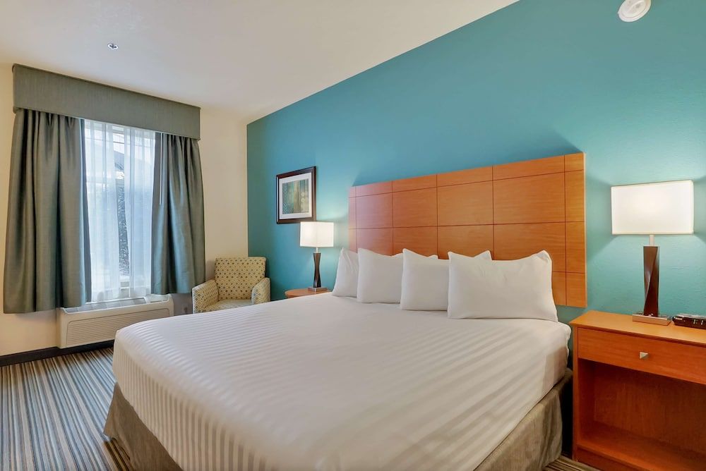 Standard Room, 1 King Bed, Accessible, Refrigerator & Microwave