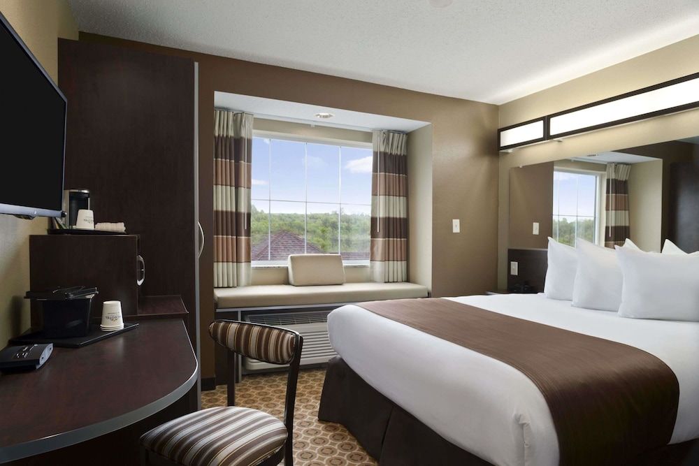 Room, 1 Queen Bed