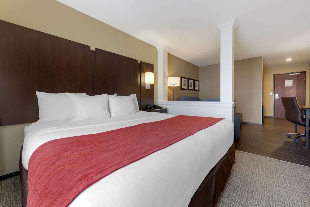 Suite, 1 King Bed with Sofa bed, Non Smoking