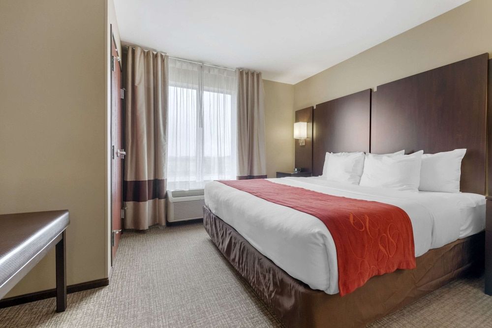 Suite, 1 King Bed with Sofa bed, Non Smoking