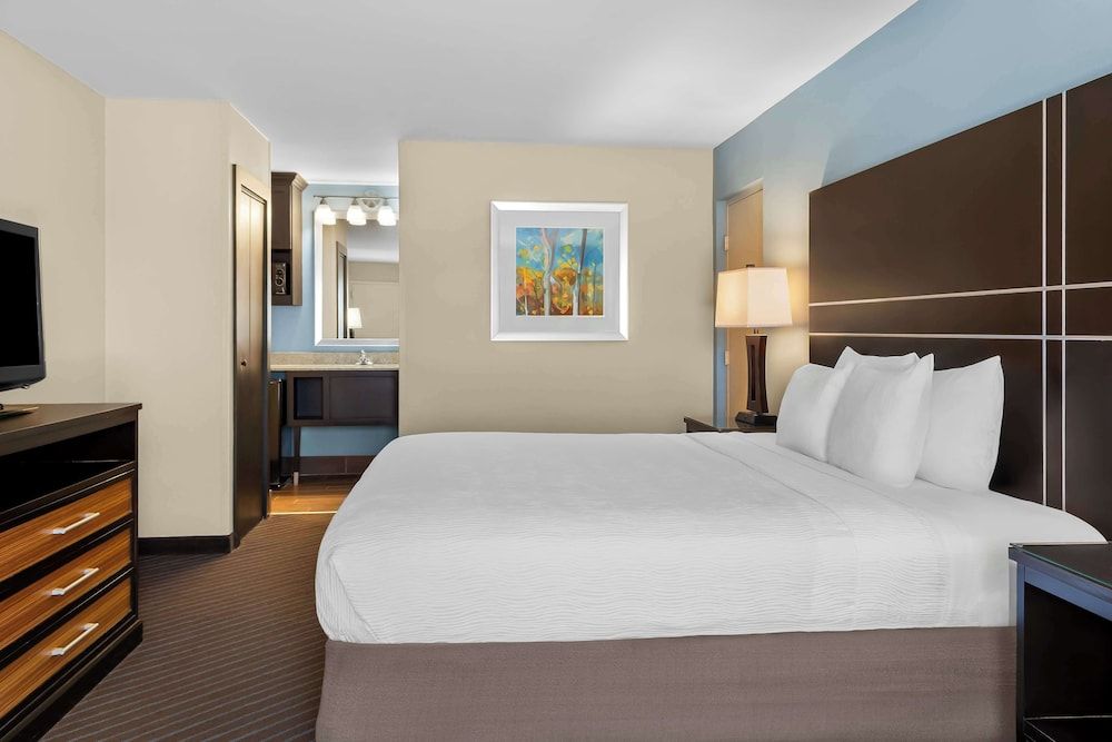 Standard Room, 1 King Bed, Non Smoking, Refrigerator & Microwave