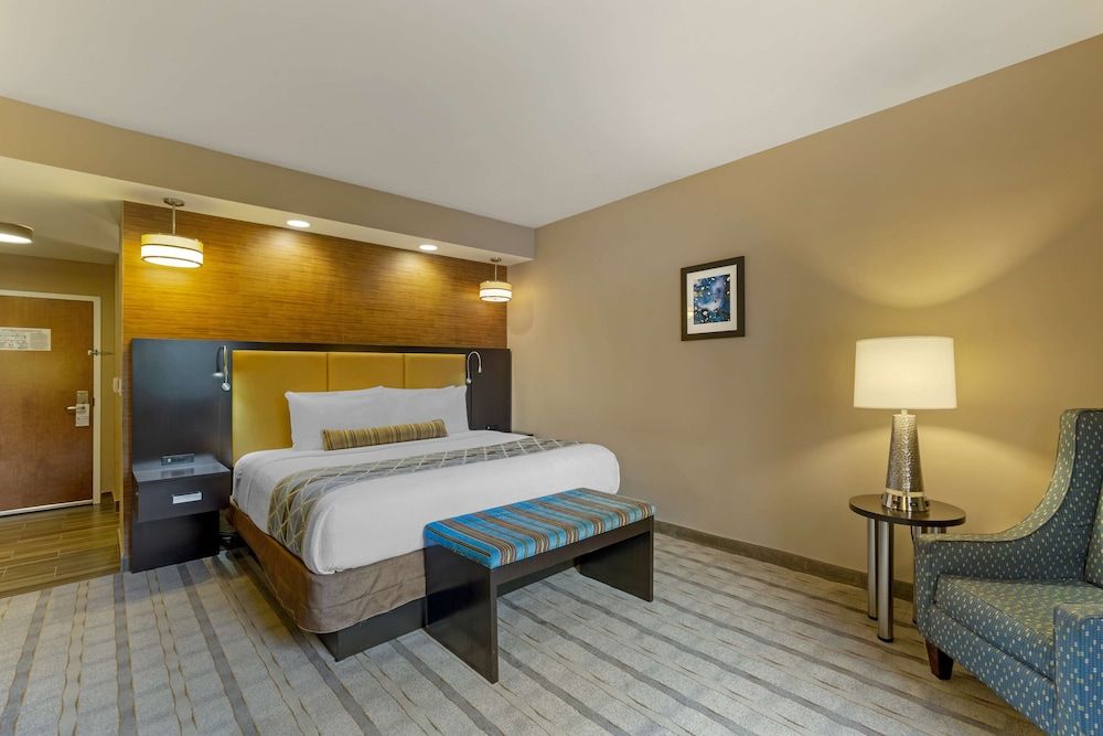 Deluxe Room, 1 King Bed, Non Smoking, Refrigerator & Microwave