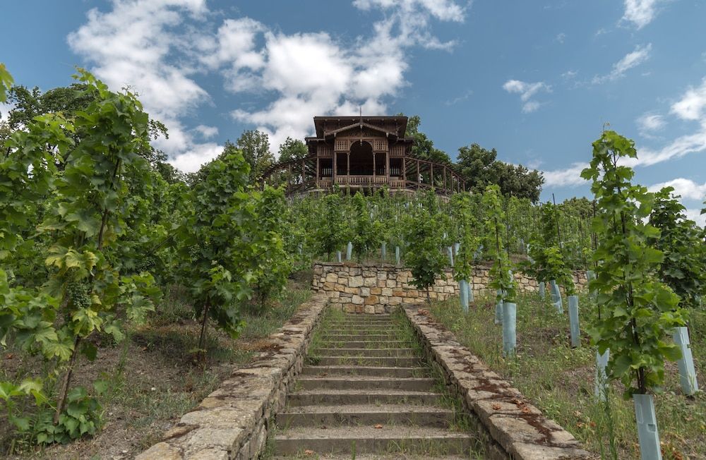 undefined Hotel Orion 6